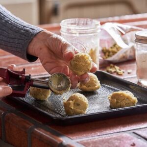 Citrus Spice Cookies Round Dough